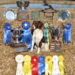 Amos with Ribbons and Trophies