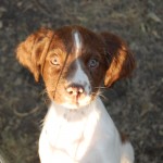 Bella