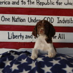 Jonesey Flag