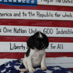 Tootsie Roll Flag
