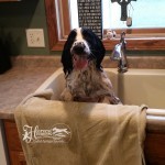 Rigley loves to have a bath in the Sink