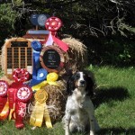 Holly and Trophies