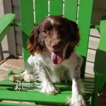 Rudy in Green Chair