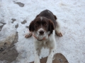 Baker in the winter with a frost beard