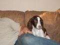 2010_11150437