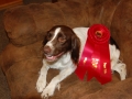 Miata and her puppy ribbon_5